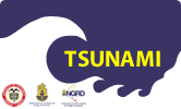 TSUNAMI